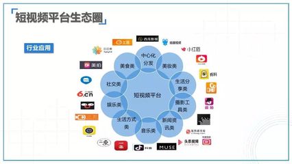 2017-2018互聯網及新媒體發展趨勢研究報告 社交媒體行業的轉型與挑戰